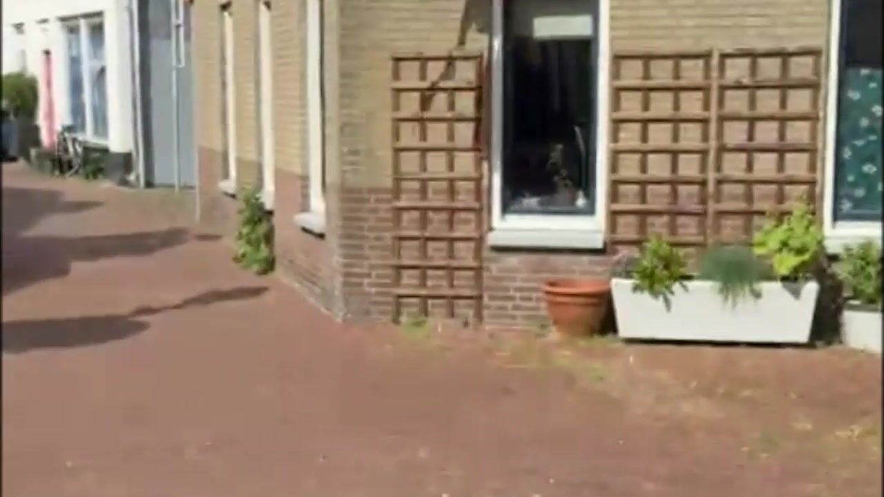 Video van Badhuisstraat 276