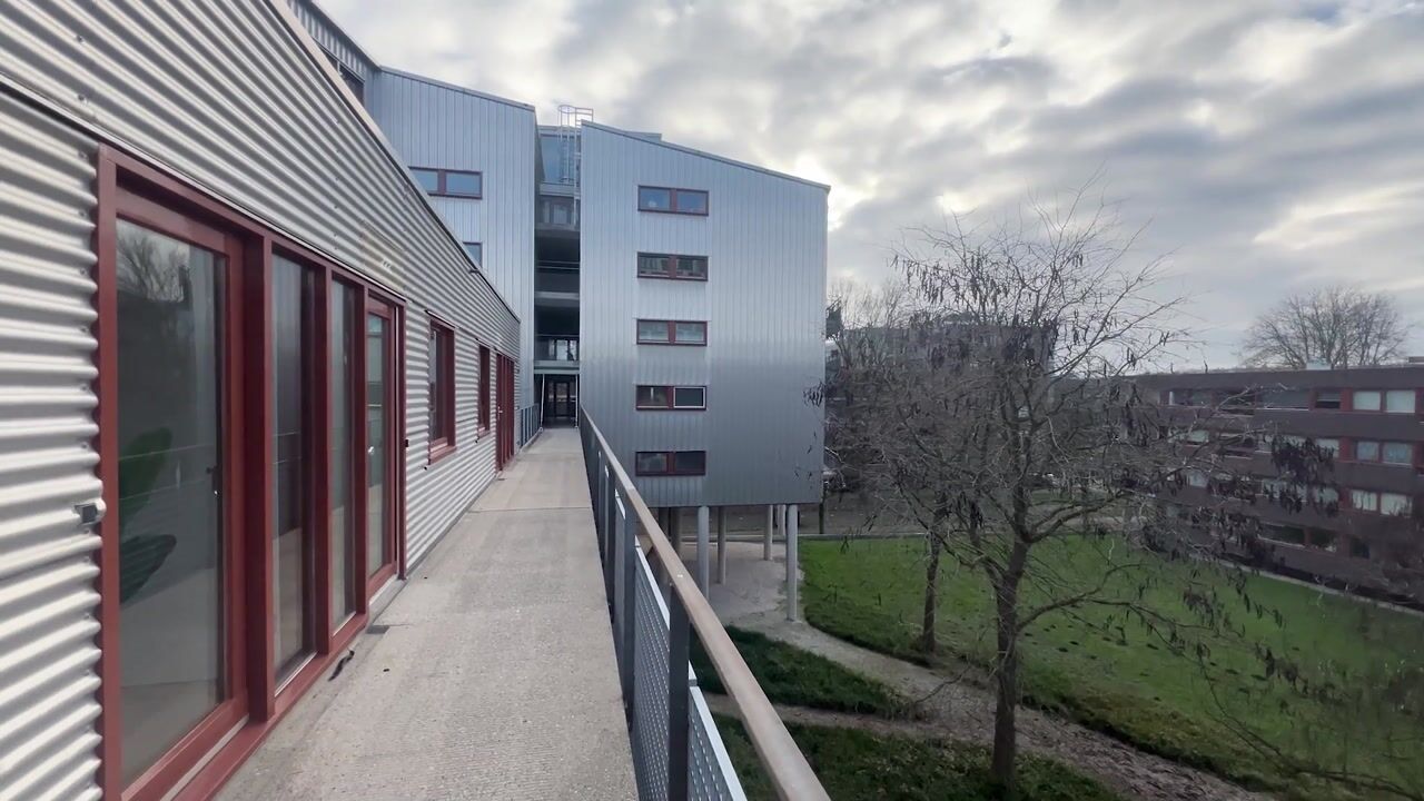 Video van Oeverpad 433