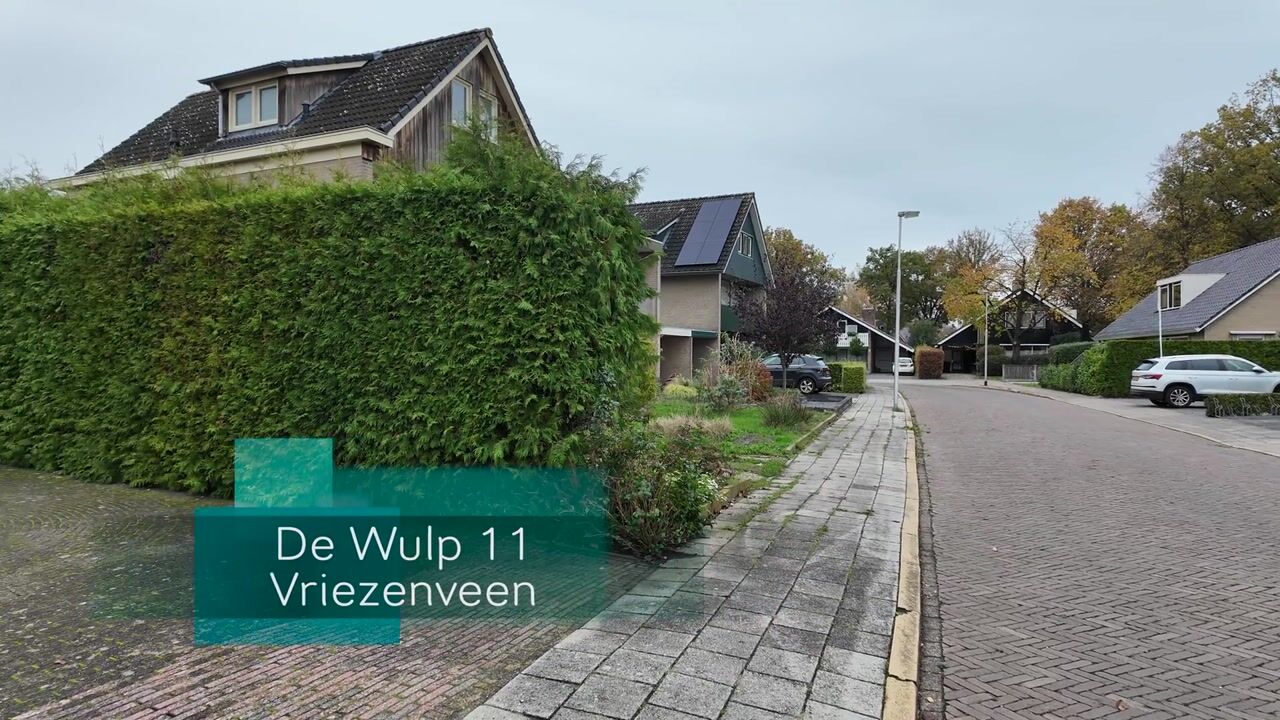 Video of De Wulp 11