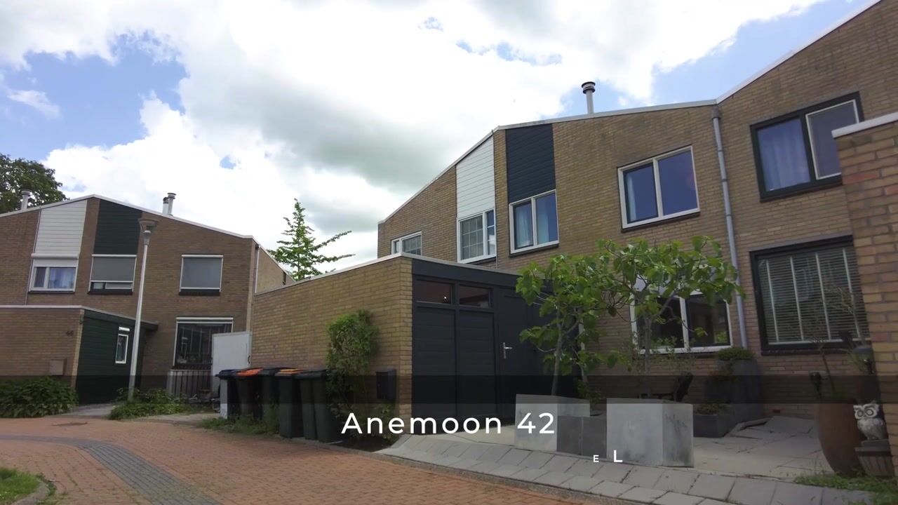 Video of Anemoon 42