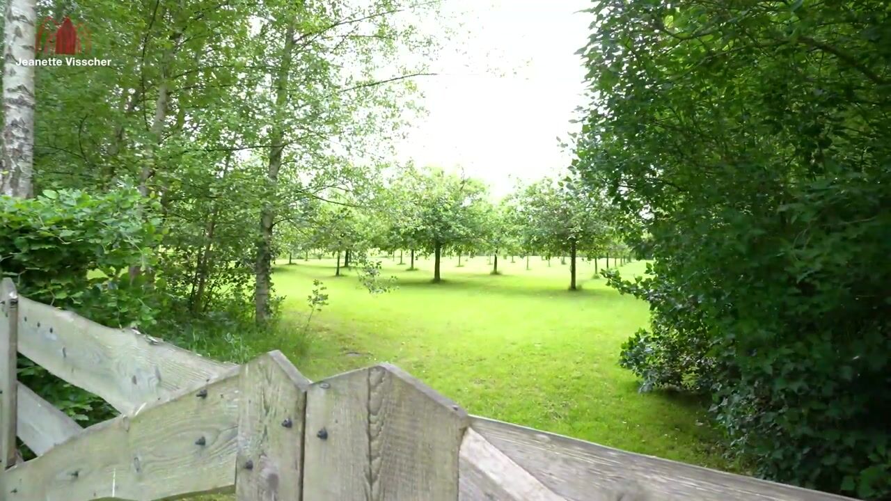 Video van Stappenbeltweg 2