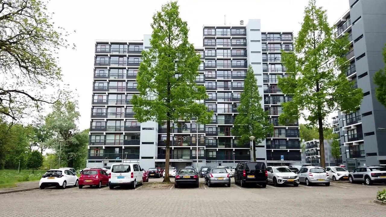 Video van Lankforst 5619