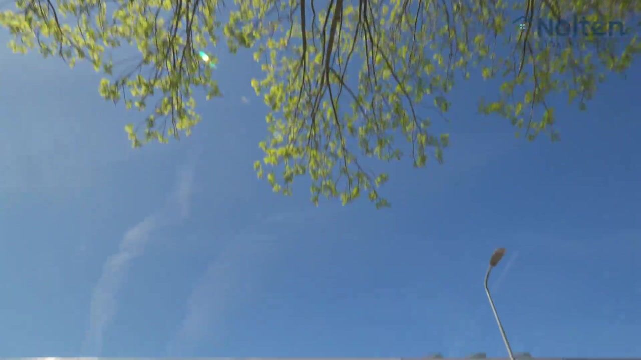 Video van Laurensvliet 9
