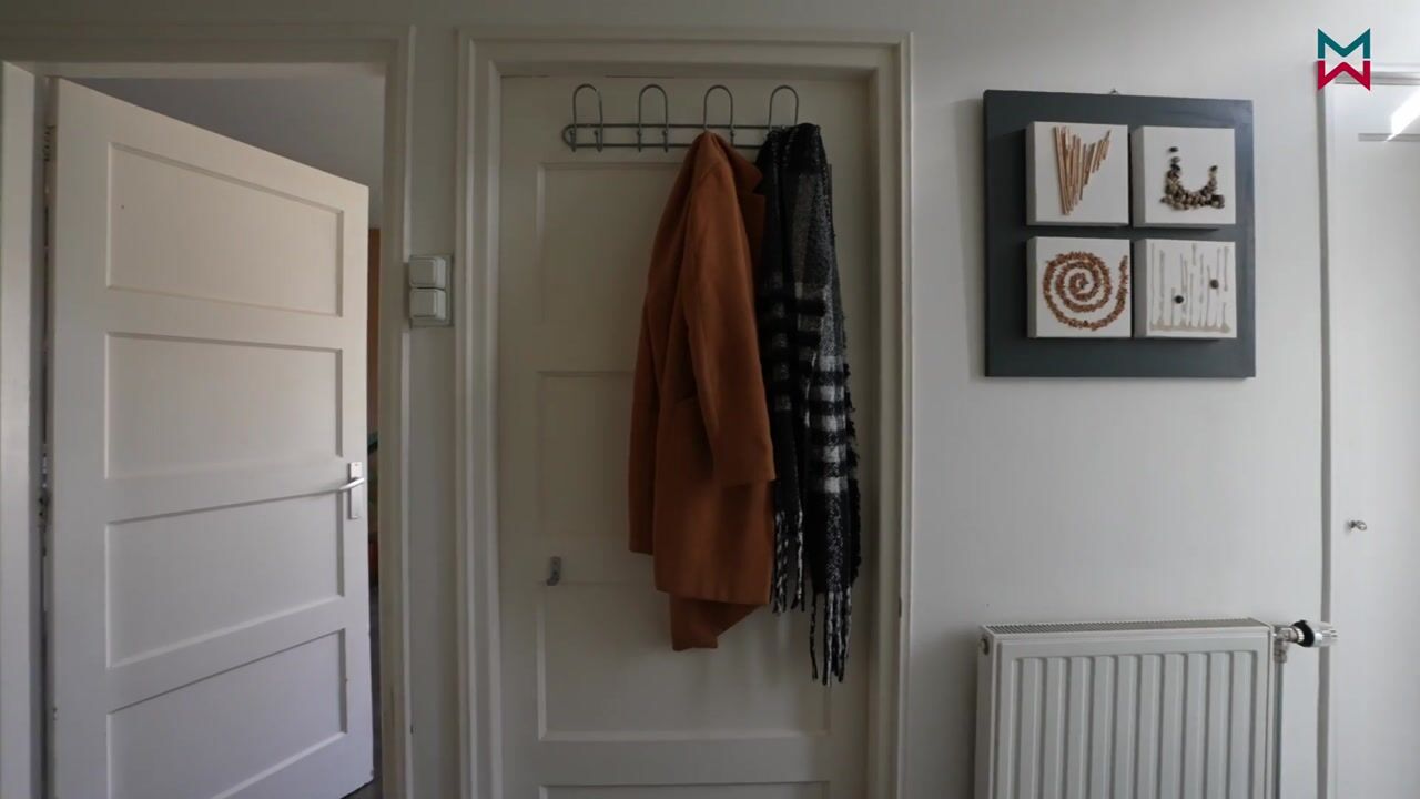 Video of Professor Schotanusstraat 29