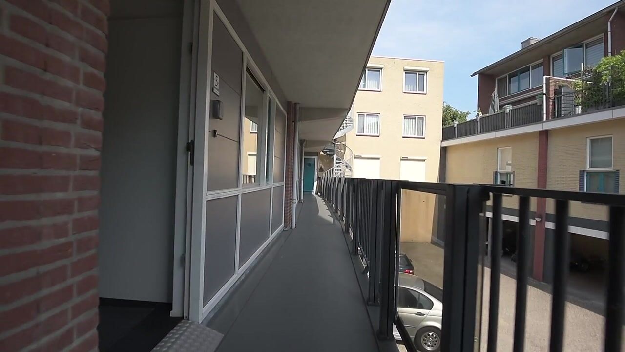 Video van Bleek 5