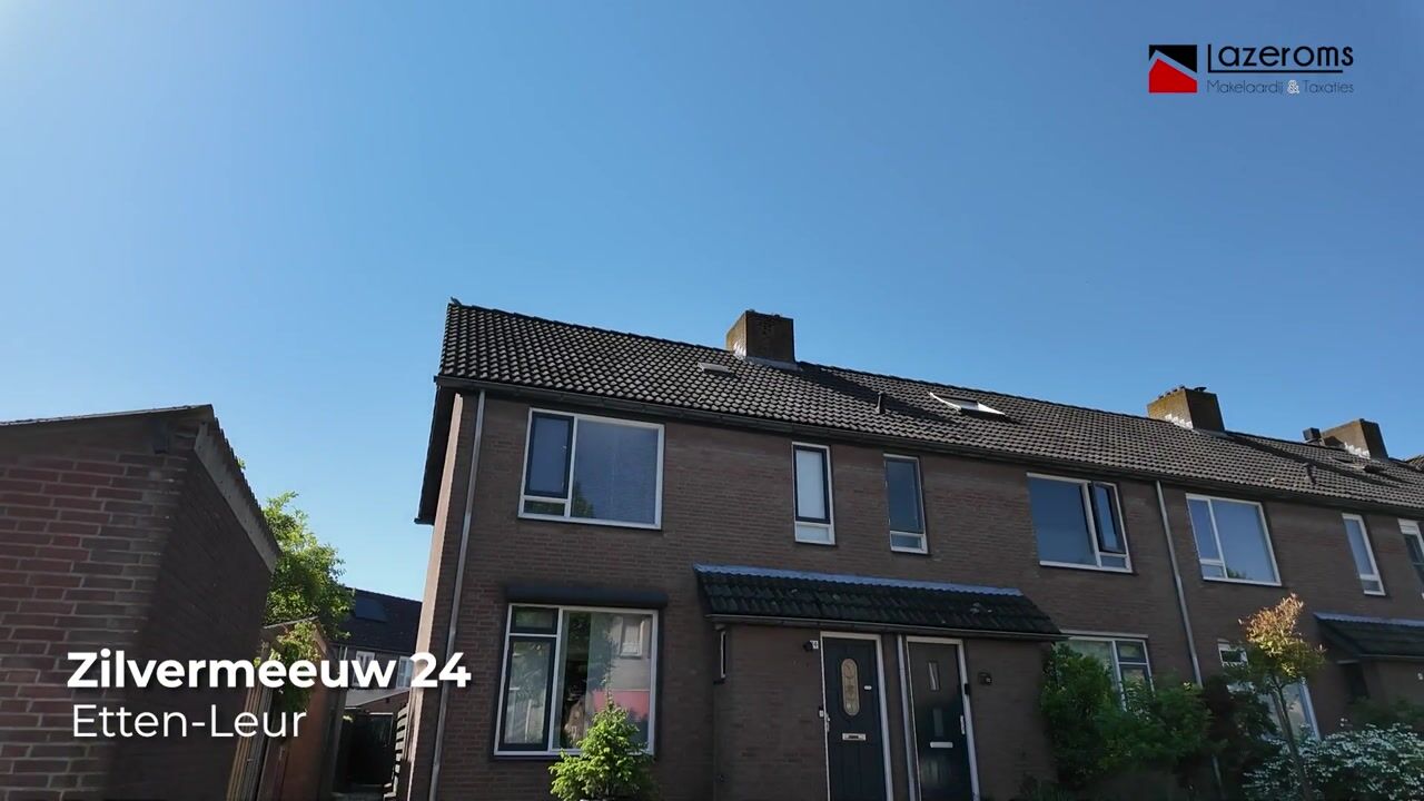 Video of Zilvermeeuw 24