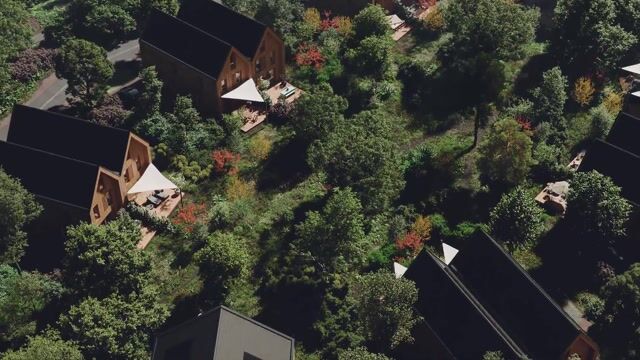 Bekijk video van Bos fase 1