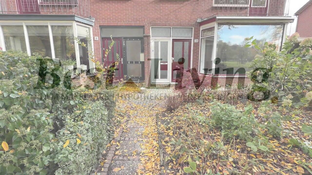 Video of Troelstralaan 38