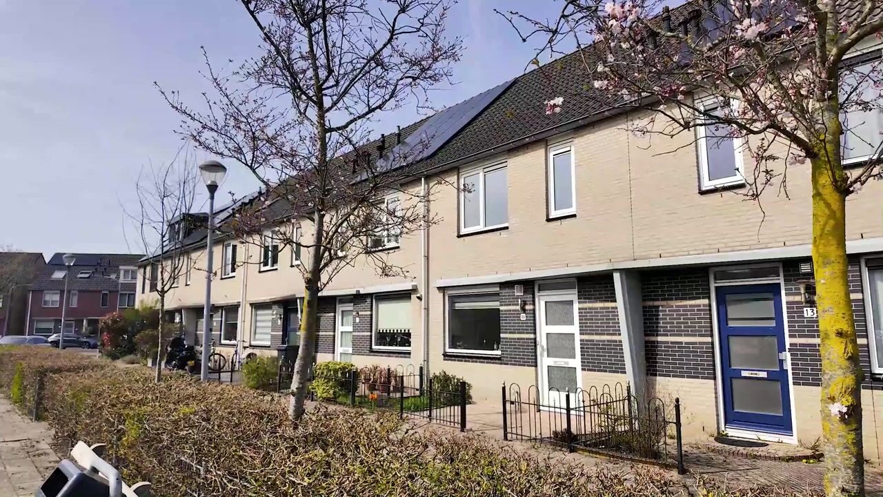 Video van Alexander Polaplein 11