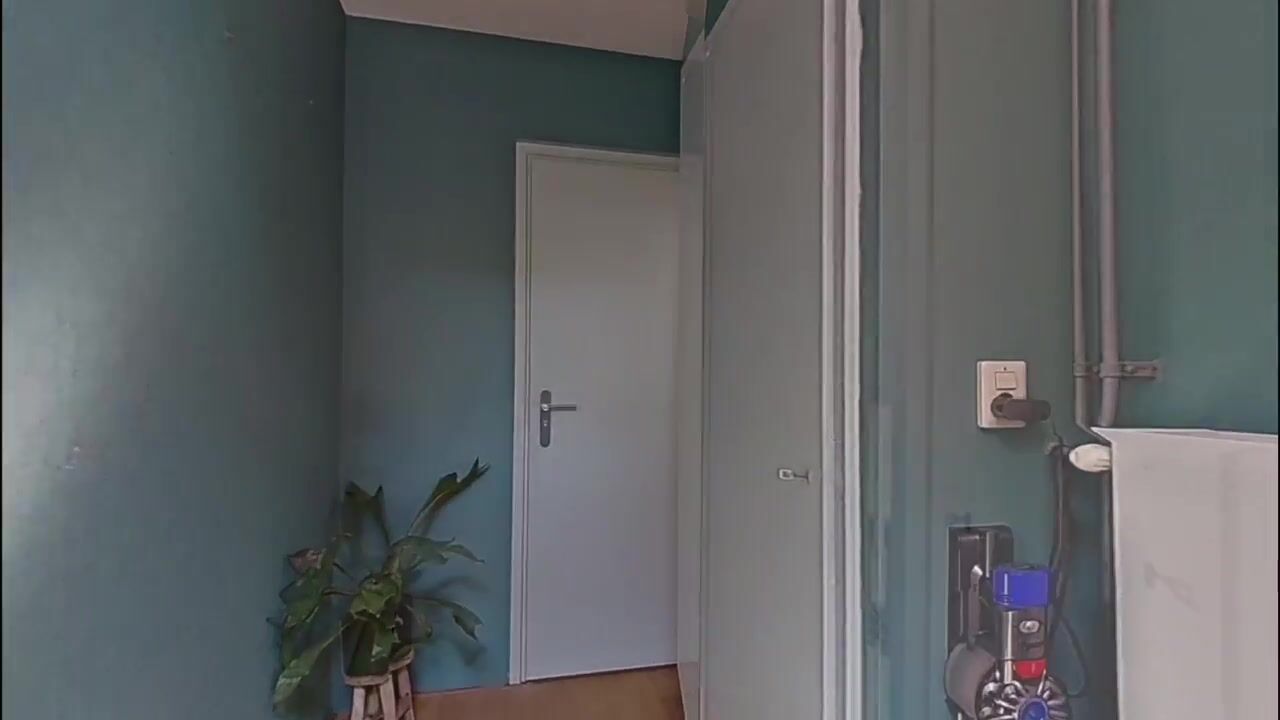 Video van Goudvink 3