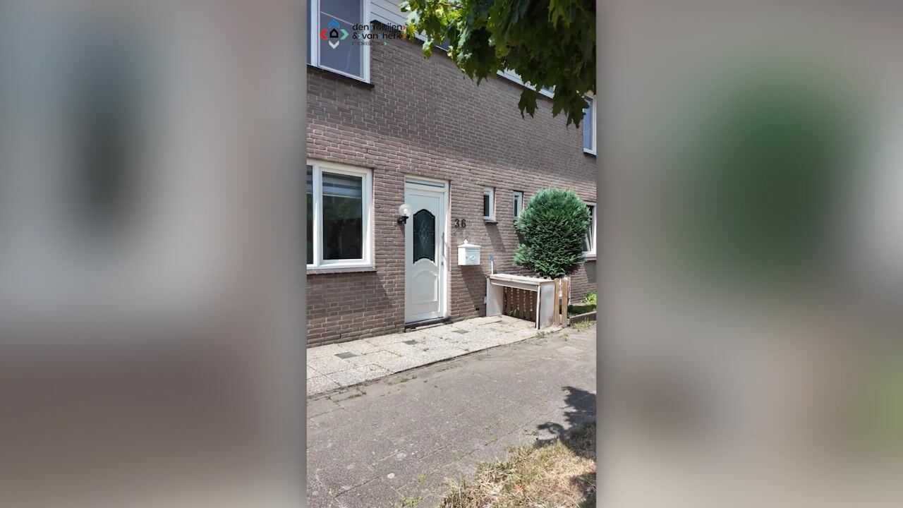 Video van Komeet 36