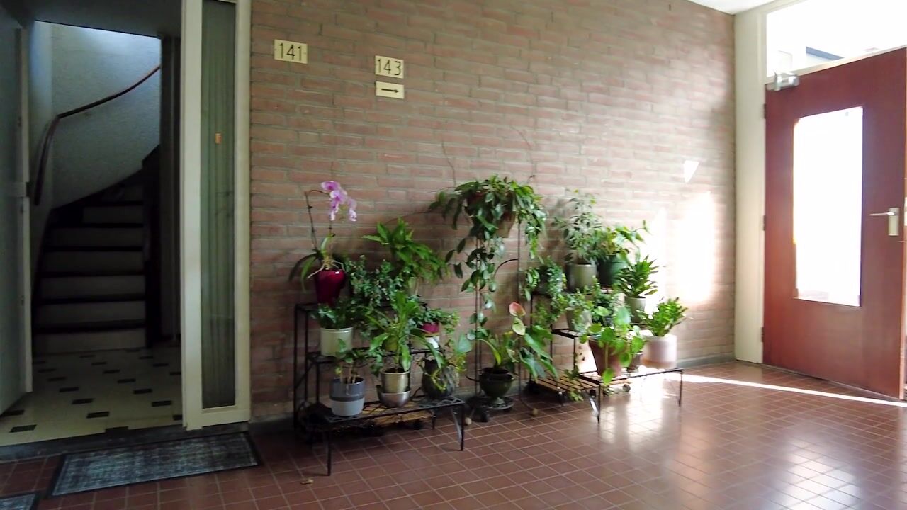 Video van Roggekamp 141