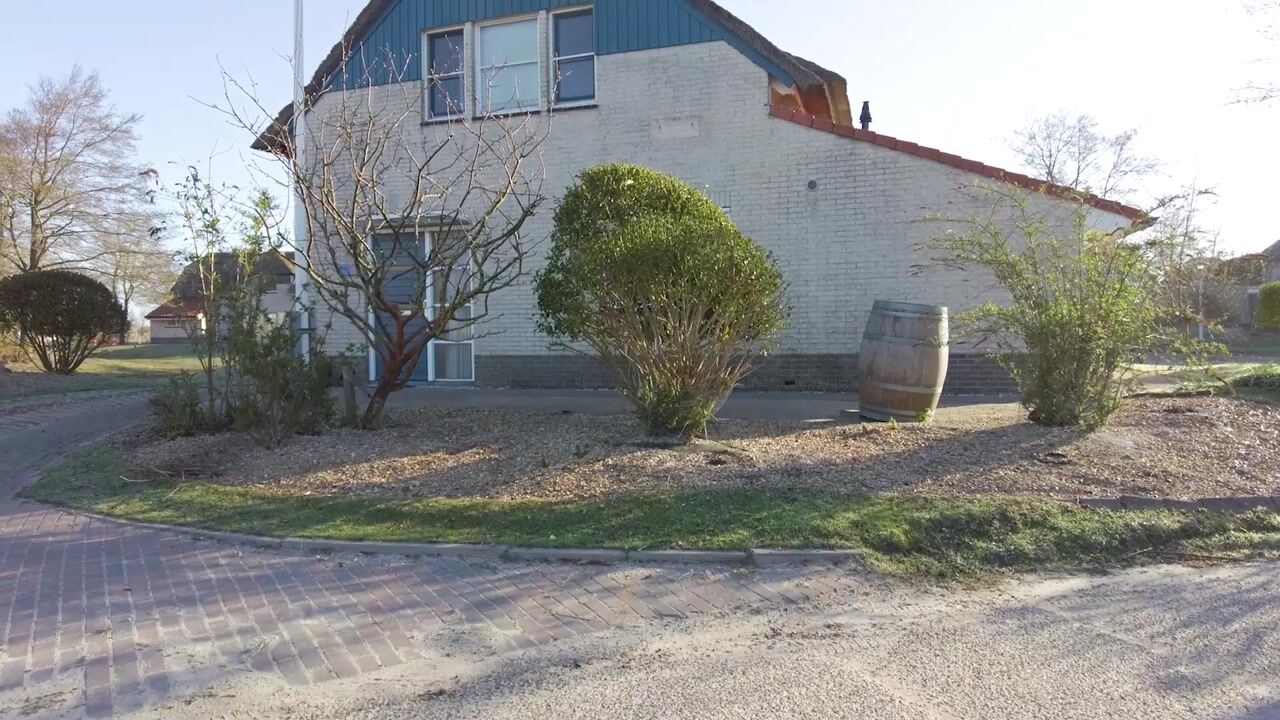 Video van De Bollen 6