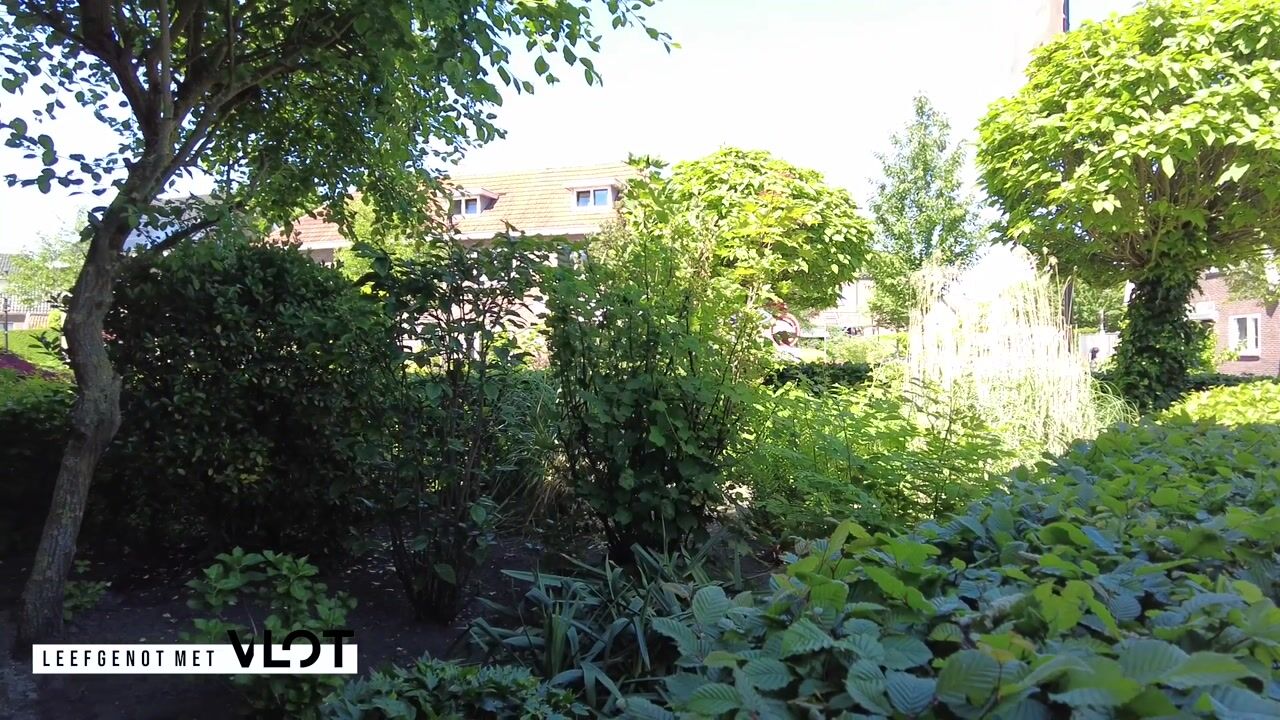 Video van Brinkstraat 48