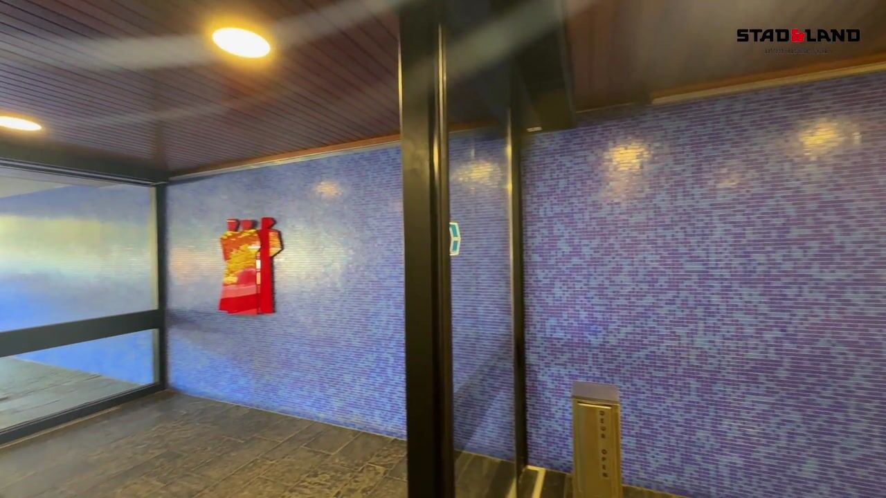 Video van Oostmaaslaan 338