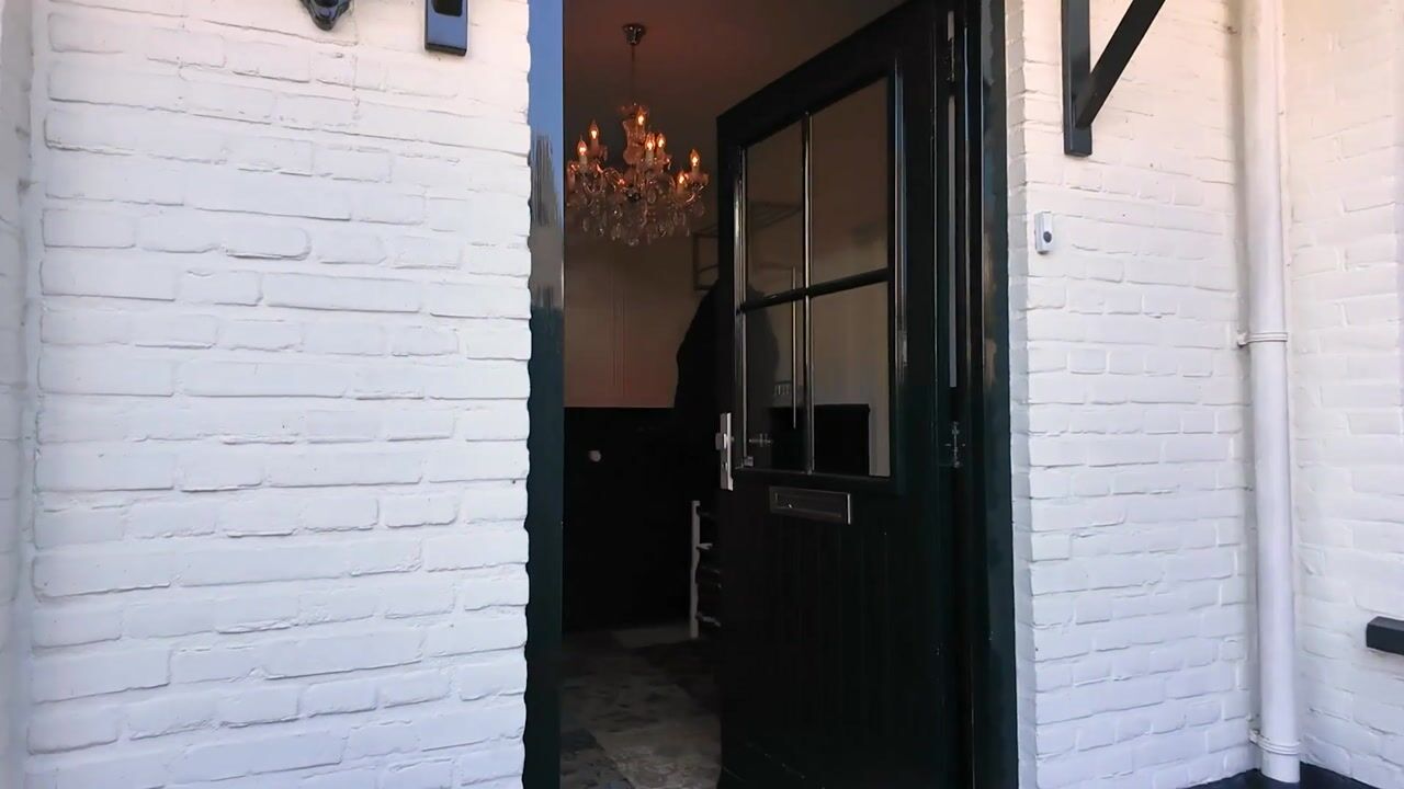 Video van Rijksstraatweg 161