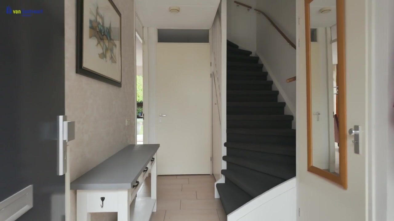 Video van Hamsterstraat 3