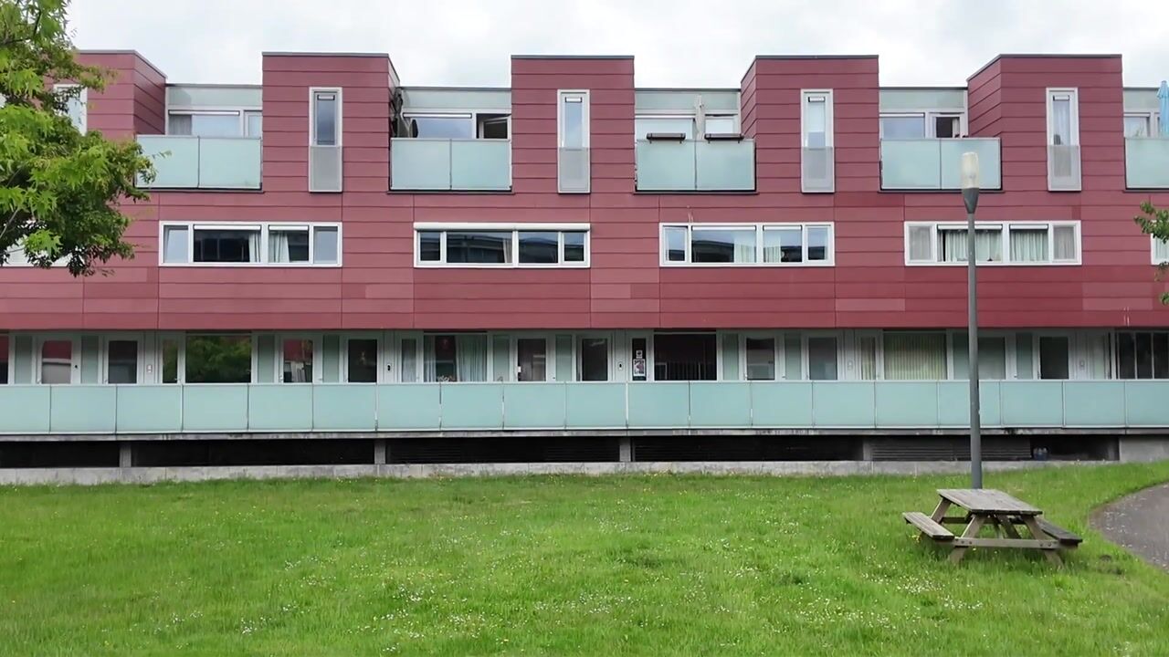 Video of Meerval 68