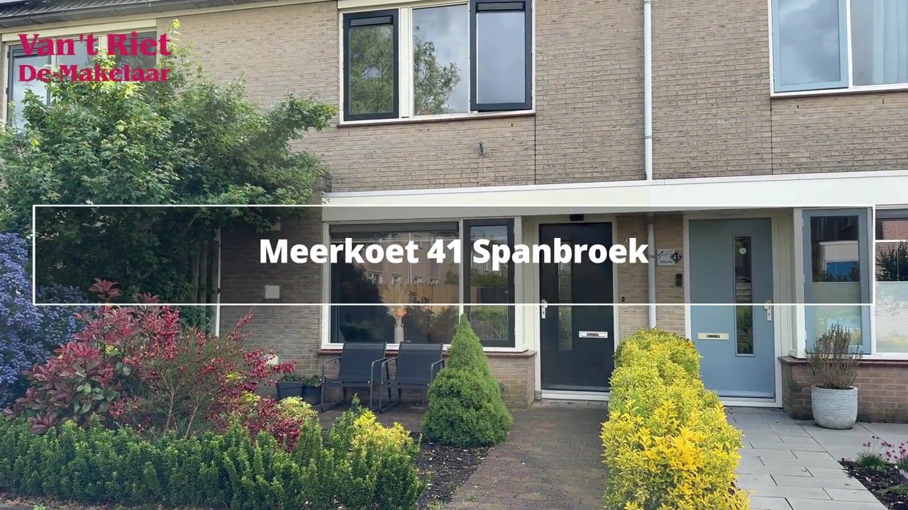 Video of Meerkoet 41