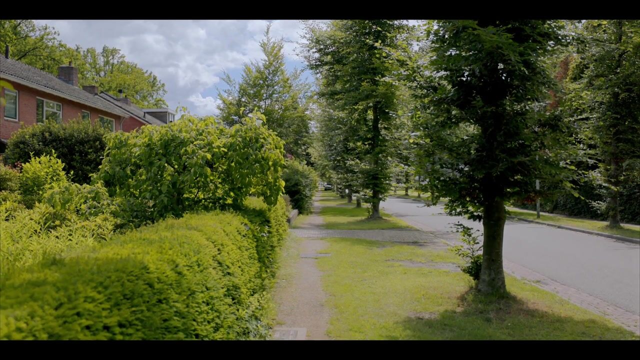 Video van Roeterdsweg 24
