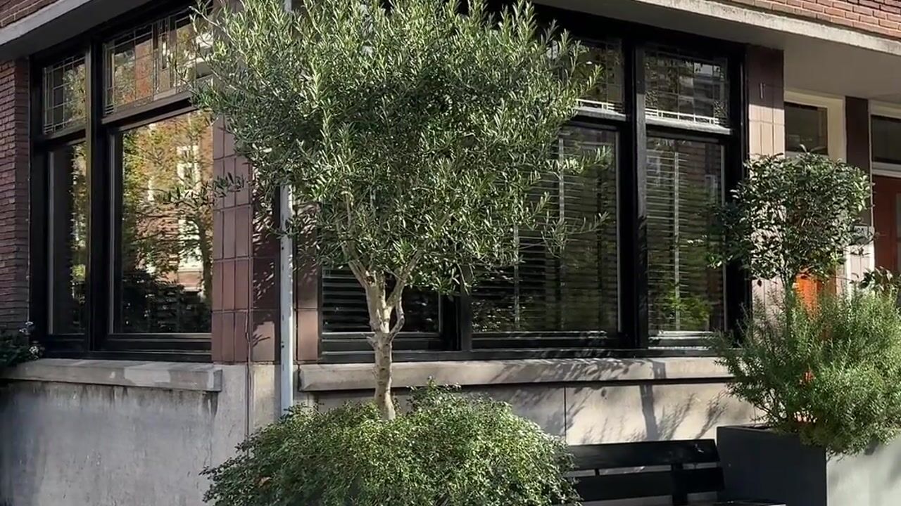 Video van De Savornin Lohmanlaan 108-A