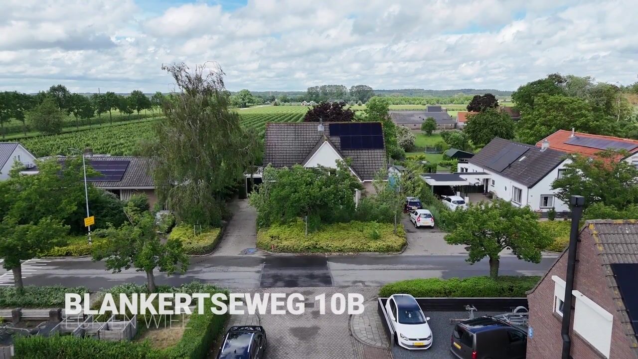 Video van Blankertseweg 10-B