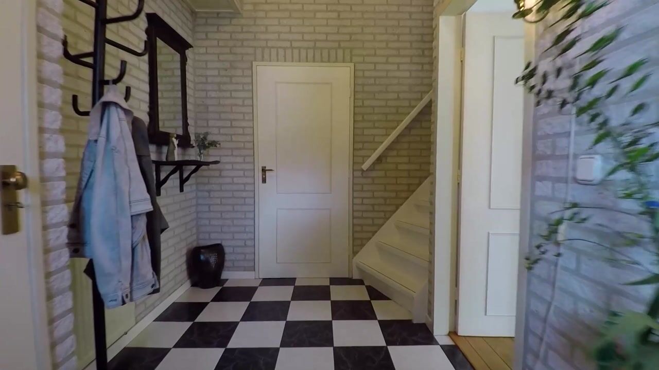 Video van Koolhof 45