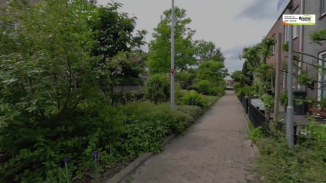 Video of Citroenvlinder 71