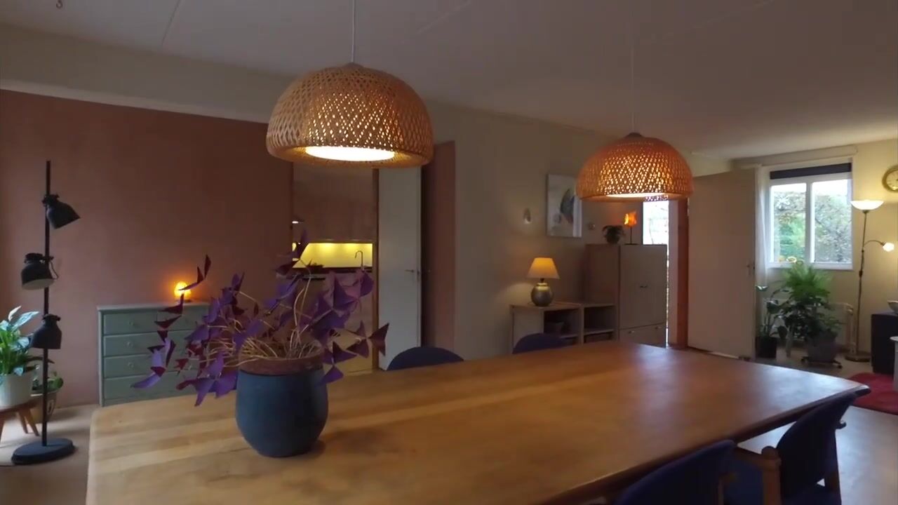 Video of Ien Dalessingel 35