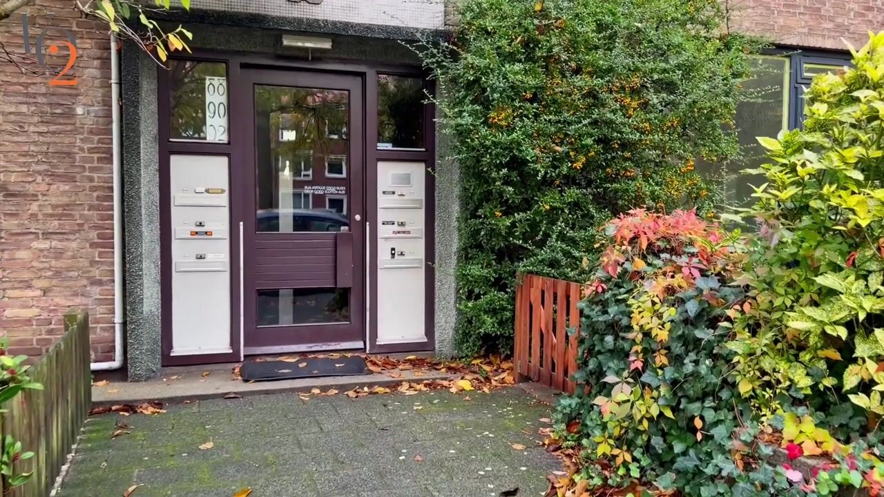 Video van Frans Halskade 86