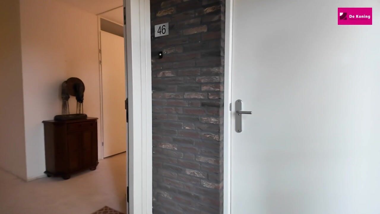 Video of Borchmolendijk 46