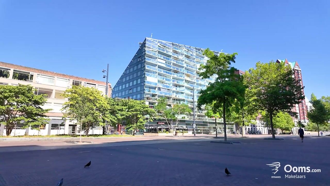Video van Librijesteeg 273