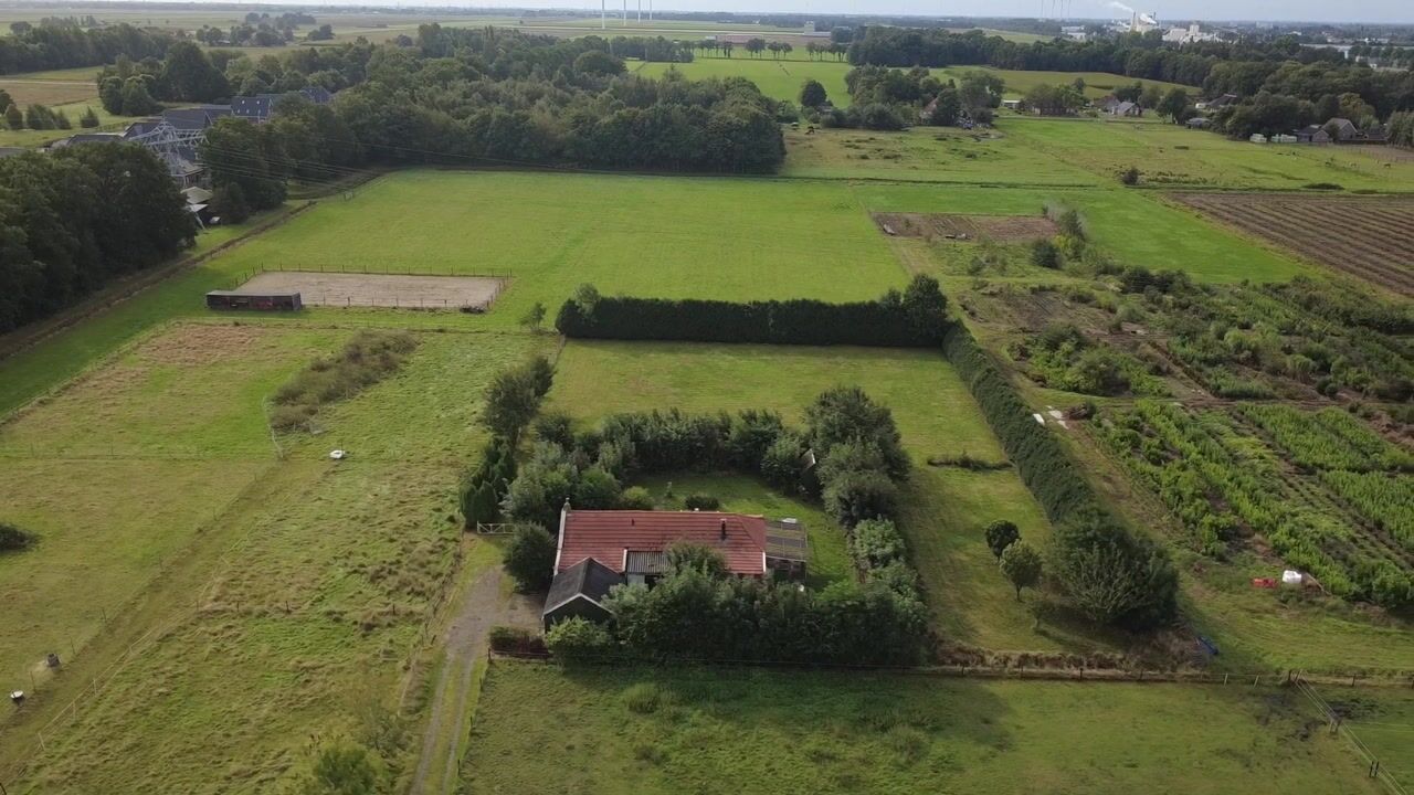 Video van Hereweg 46