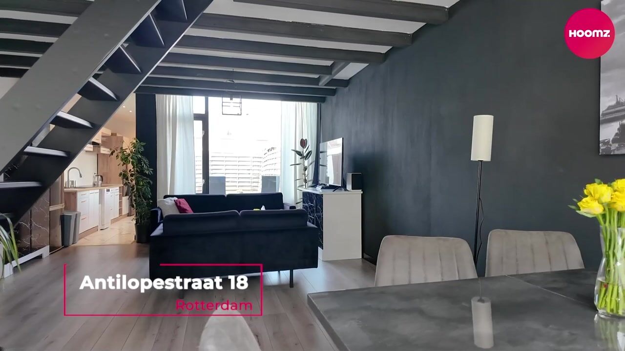 Video of Antilopestraat 18