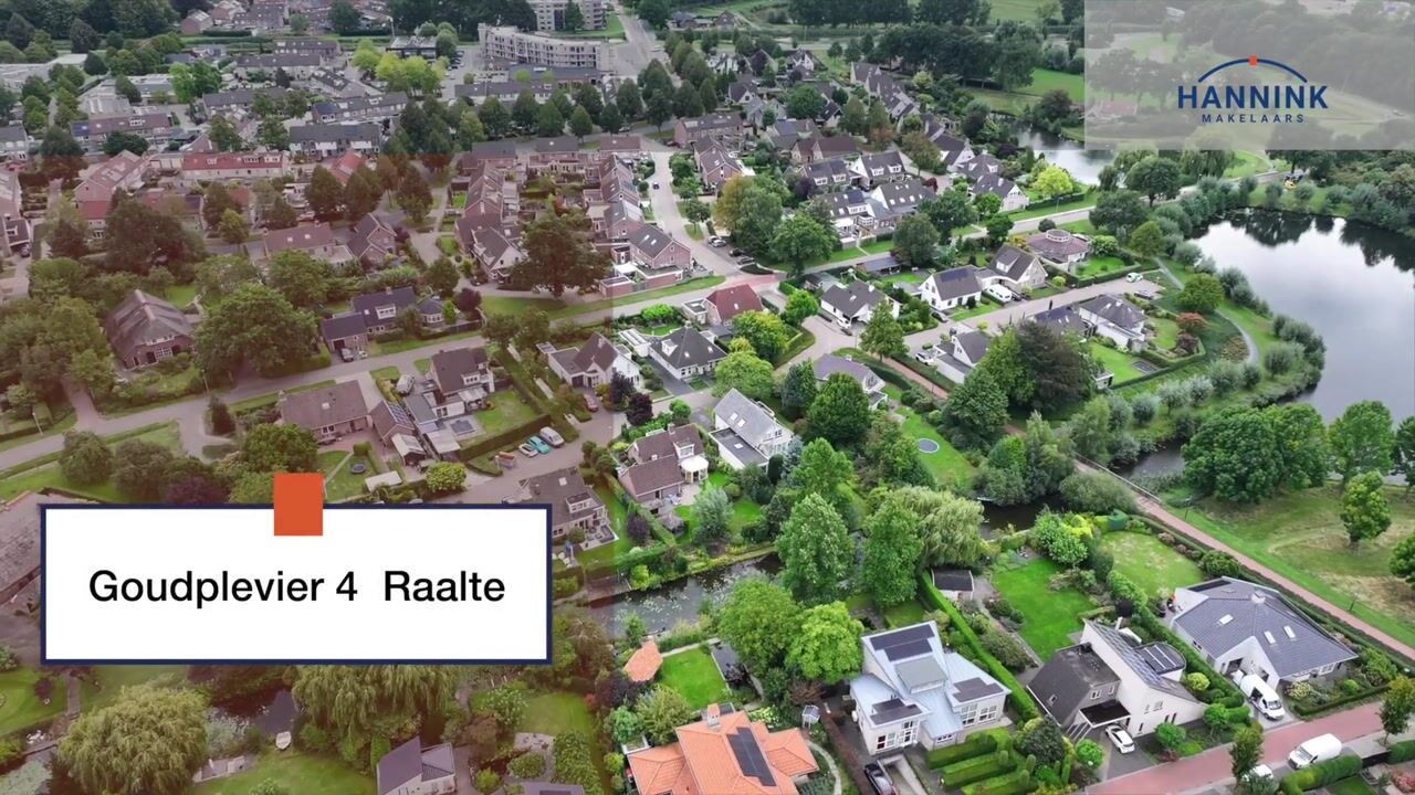 Video van Goudplevier 4