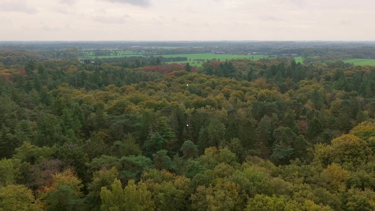 Video van Oude Rijksstraatweg 6
