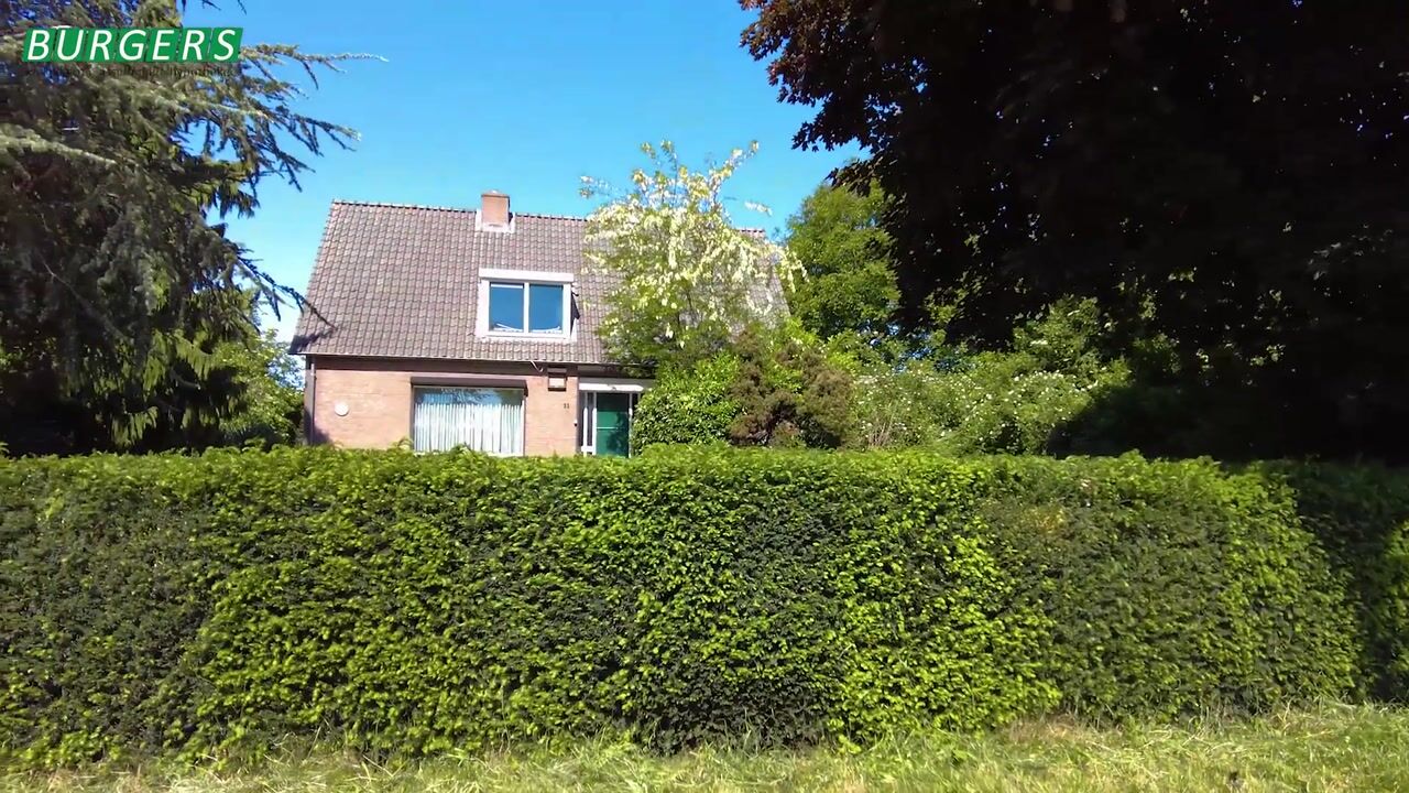 Video van Botsestraat 11