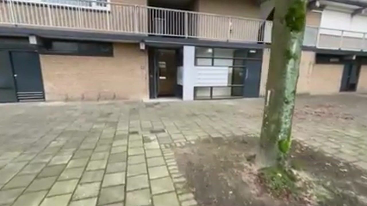 Video of Malvert 6913