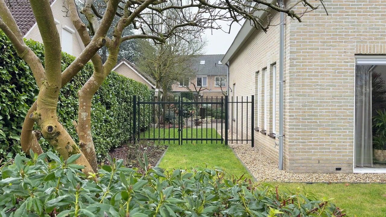 Video van Honingraat 11