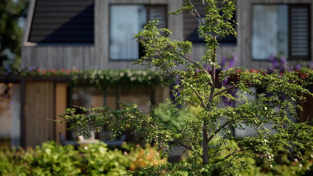 View video of EVE VLIETVOORDE