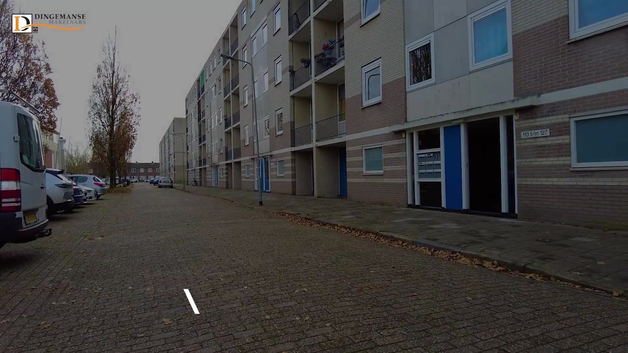 Video of Schaepmanstraat 113