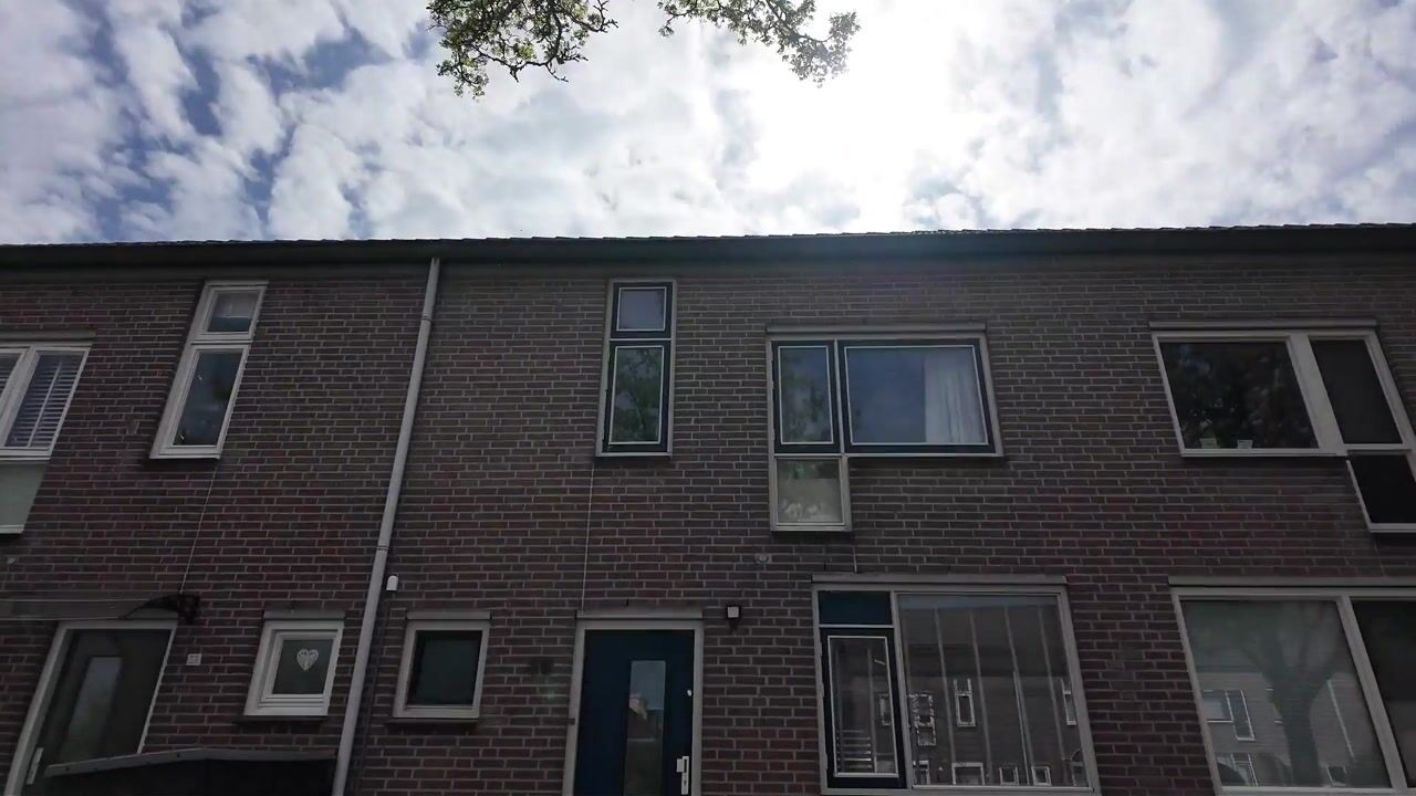 Video of Hoornstraat 56