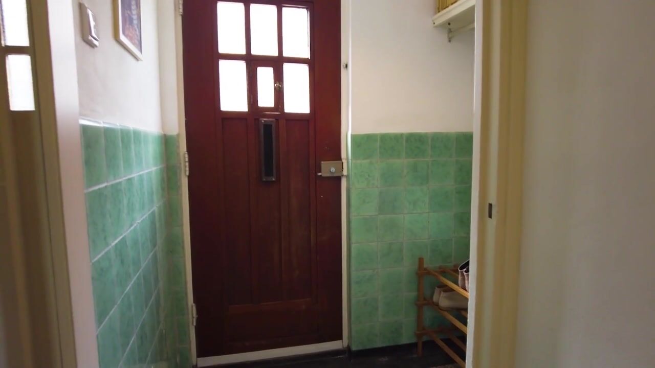 Video of Ganzebloemstraat 45