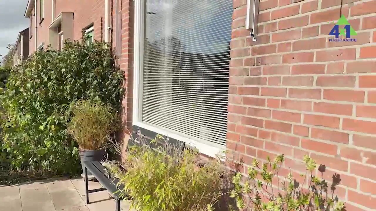 Video of Ravenstraat 30