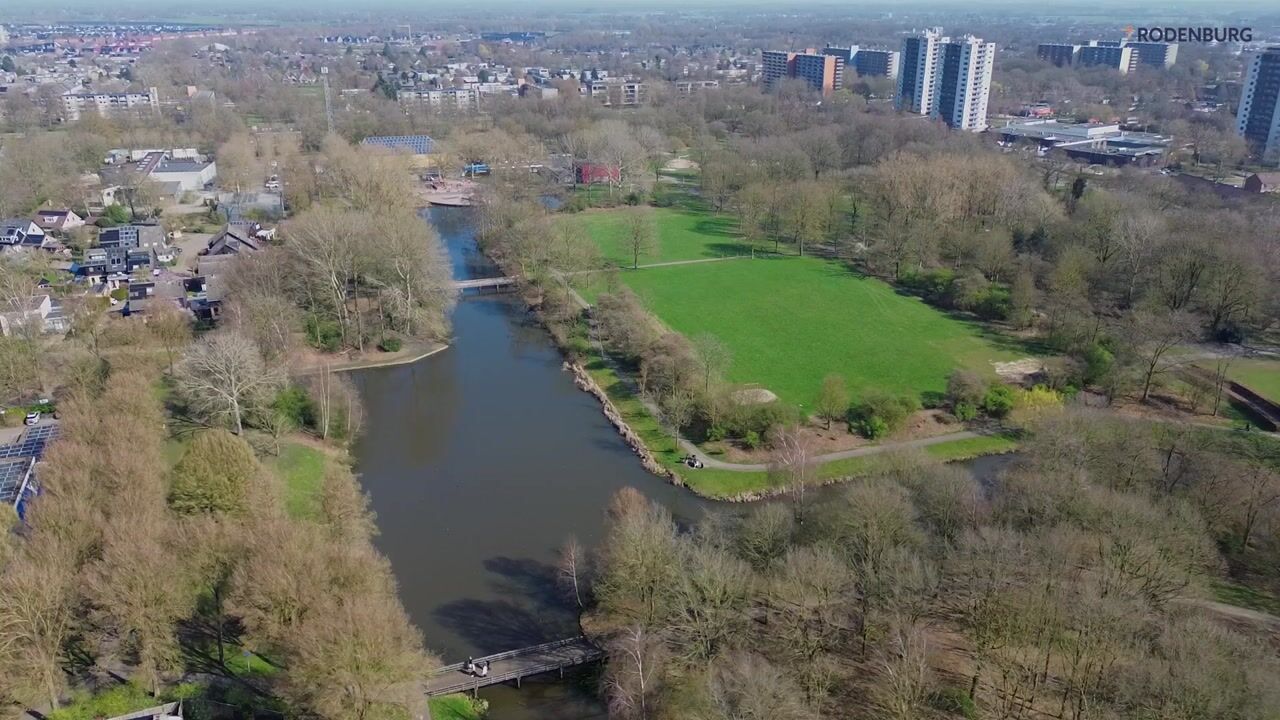 Video van Pinksterbloem 71