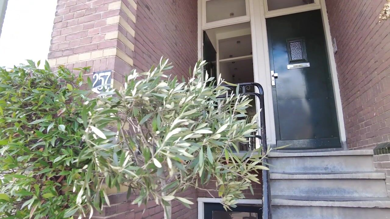 Video van Groot Hertoginnelaan 257