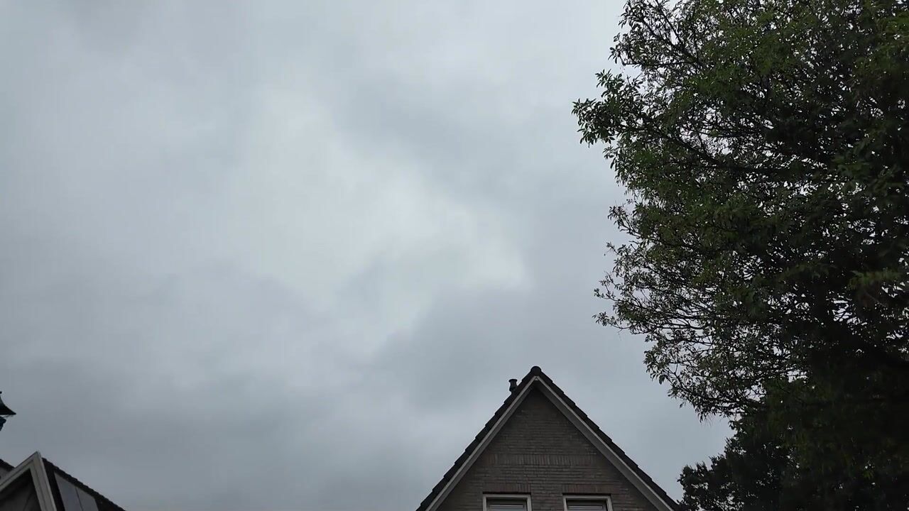 Video van 't Veld 36