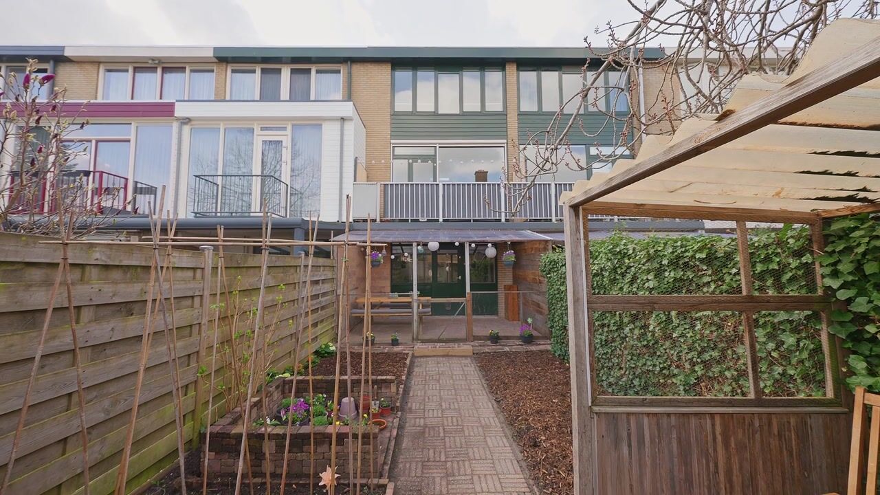 Video of Passiebloem 28