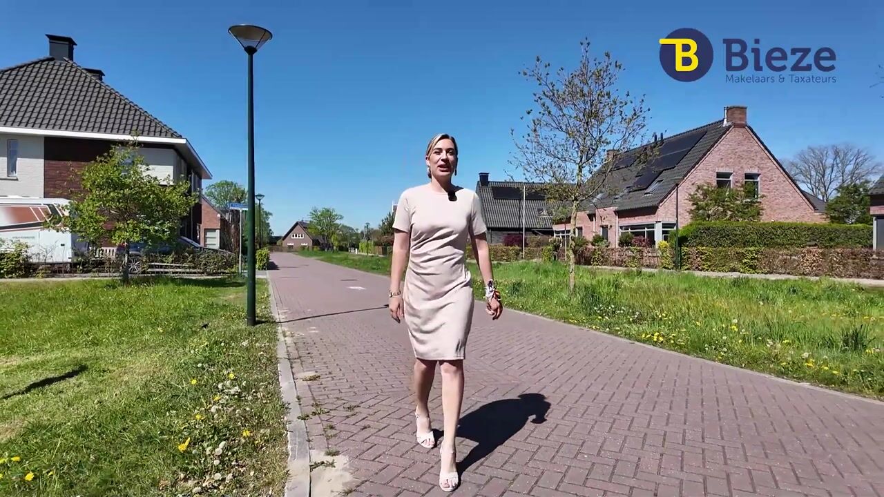 Video of Boterbloem 42