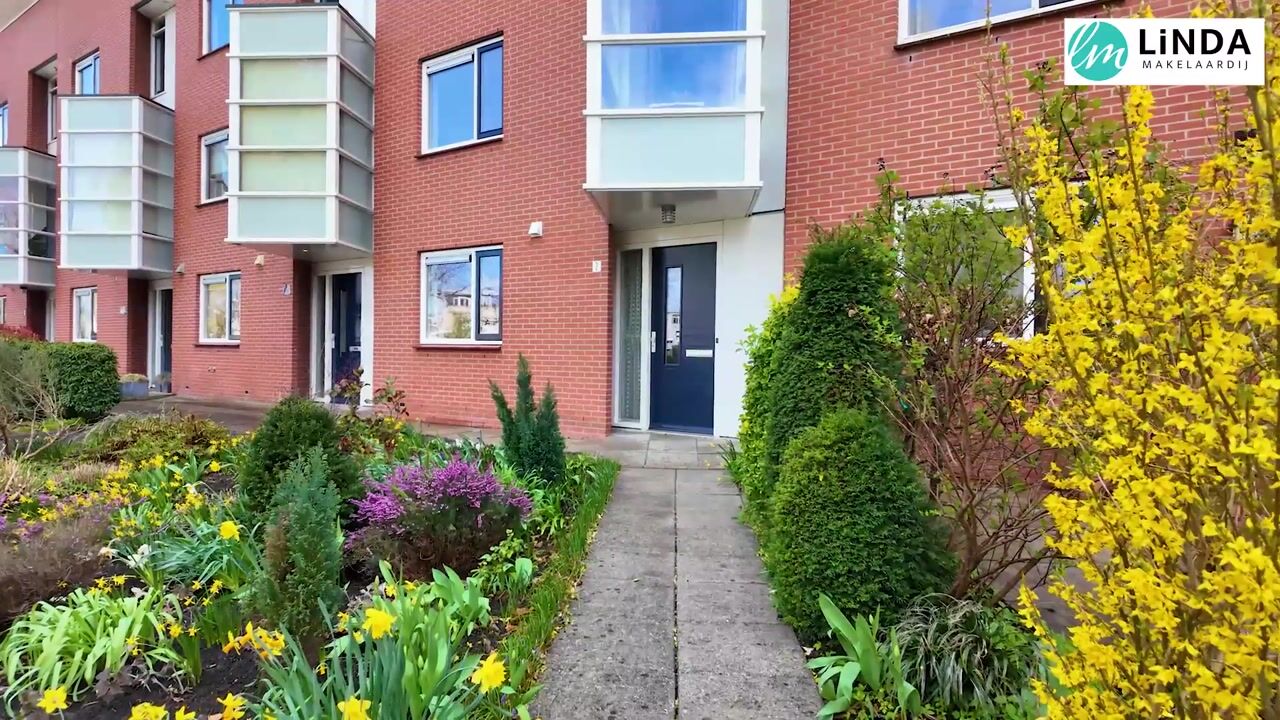 Video of Harzstraat 2